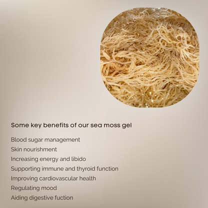 Raw, Organic & Wildcrafted St Lucian Sea Moss