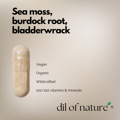 Sea Moss, Bladderwrack & Burdock Root capsules