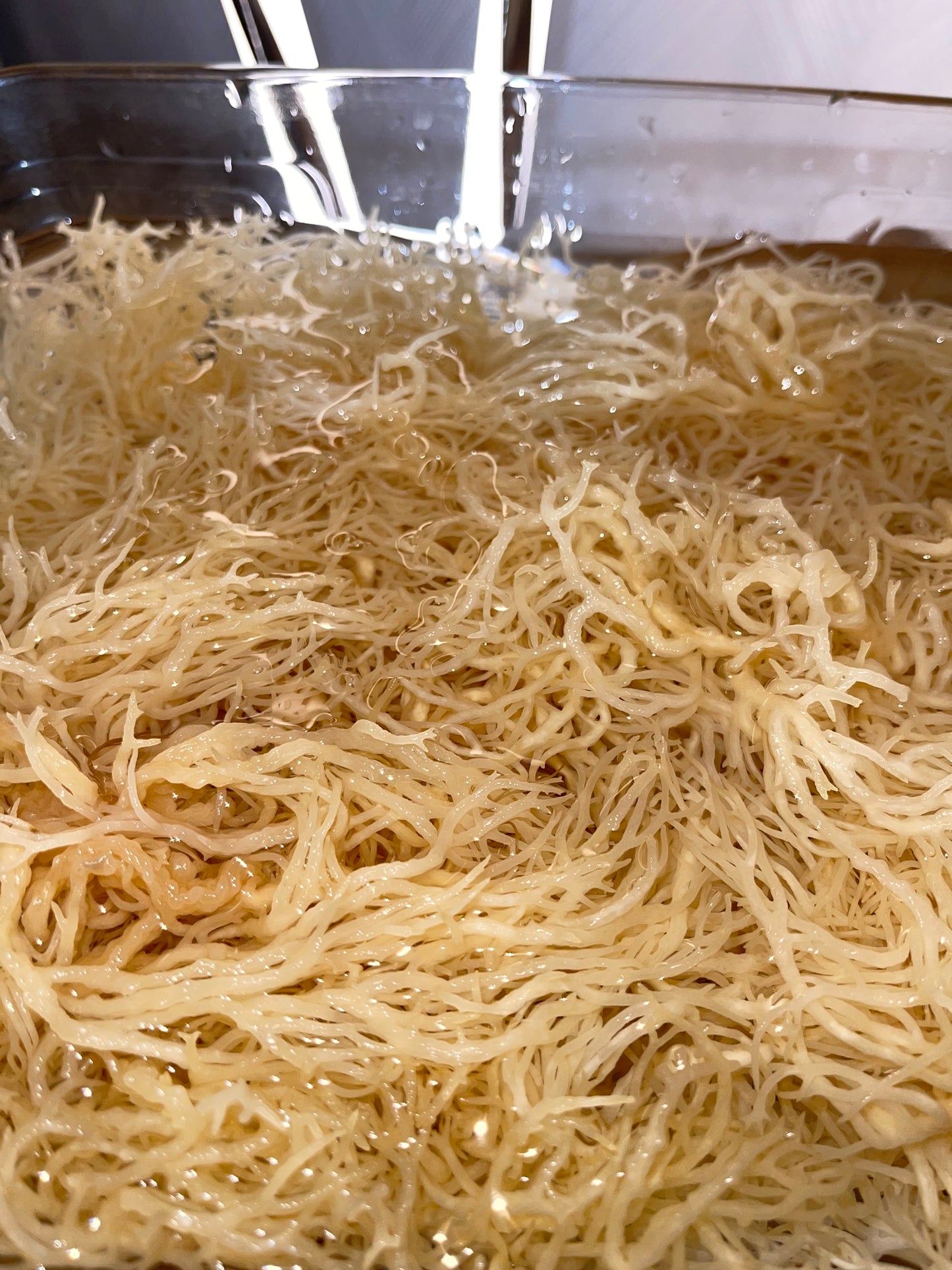 Raw, Organic & Wildcrafted St Lucian Sea Moss